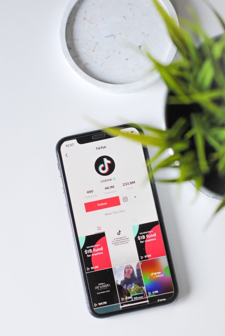 Data Shadows: Schools Are Banning TikTok for Data Risks